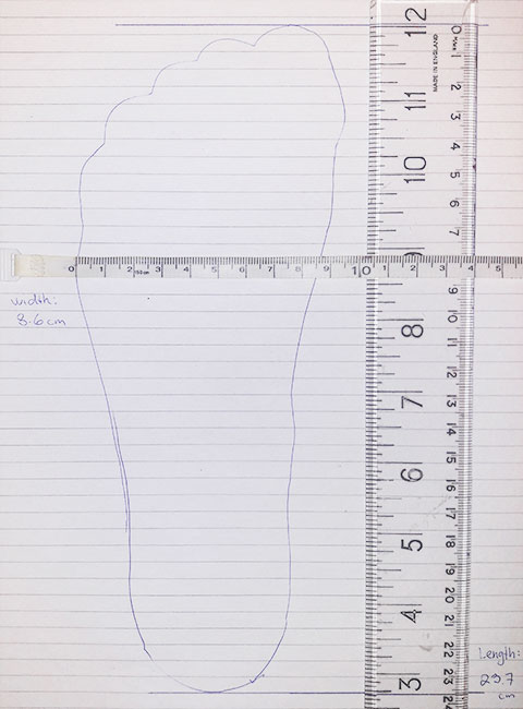Foot measurements