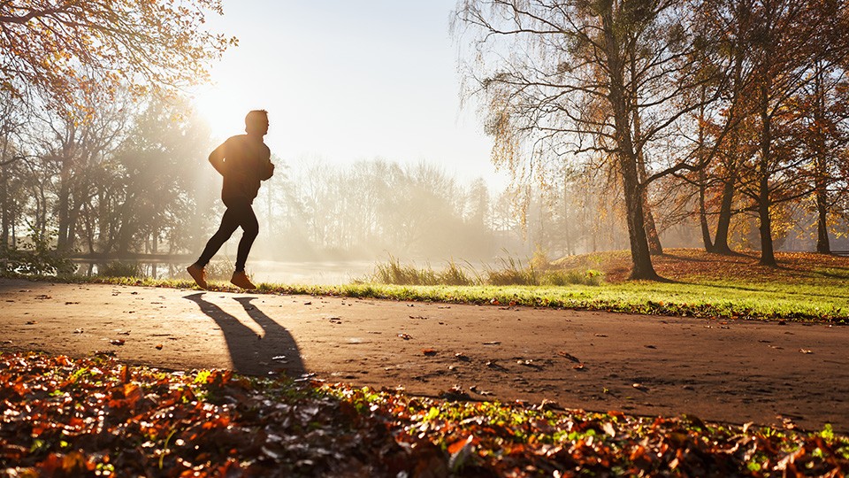 Your Marathon Starts Here