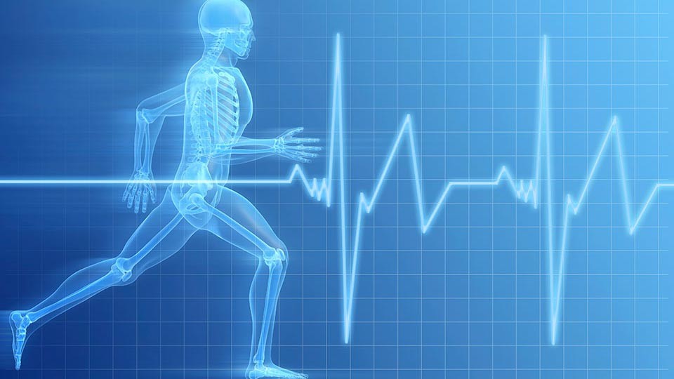 VO2 Max and Lactate Testing for Runners