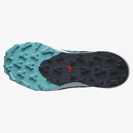 Salomon Thundercross in Carbon/Blue