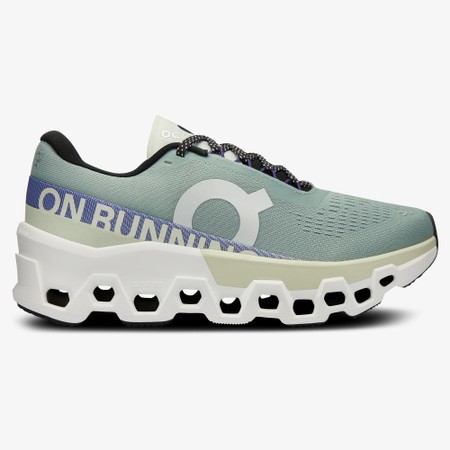 Women's On Cloudmonster 2