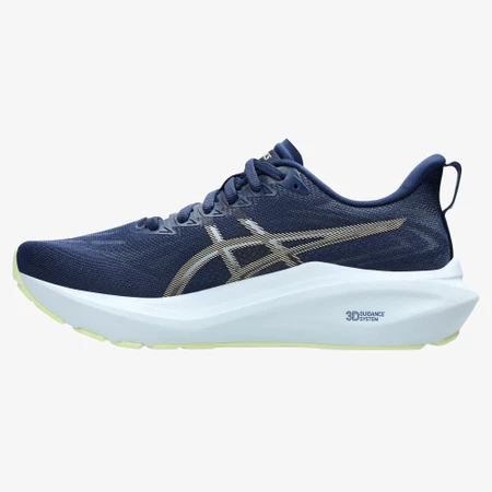 Asics GT-2000 13 in Blue/Champagne