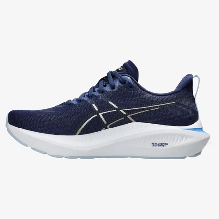 Asics GT-2000 13 in French Blue