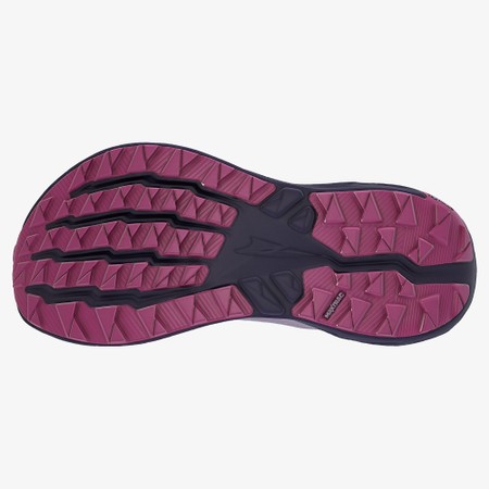 ALTRA  Experience Wild