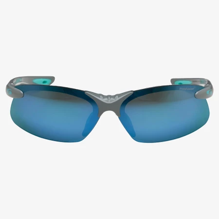 Sunwise Greenwich Polarised Sunglasses in Grey
