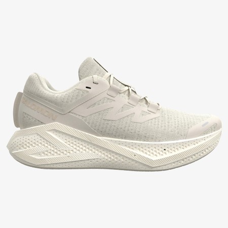 SALOMON  Aero Glide 3