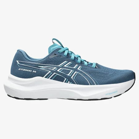 Asics GT-2000 14 in Winter Sea