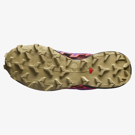 SALOMON  Speedcross 6