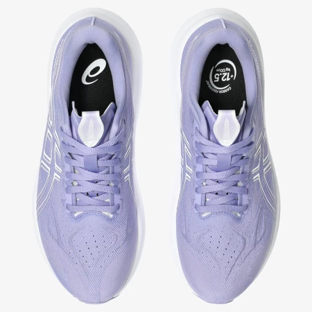 Asics GT-2000 14 in Bluebell/White