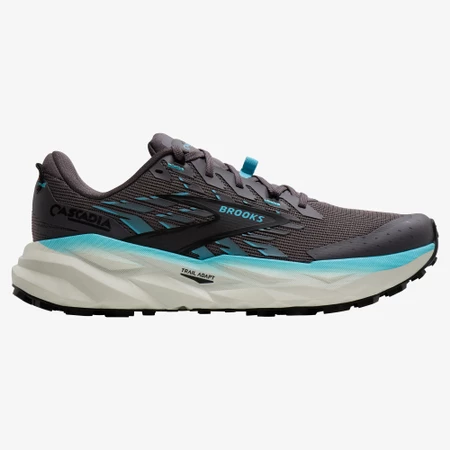 Brooks Cascadia 19 in Grey/Blue