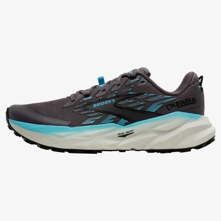 Brooks Cascadia 19 in Grey/Blue