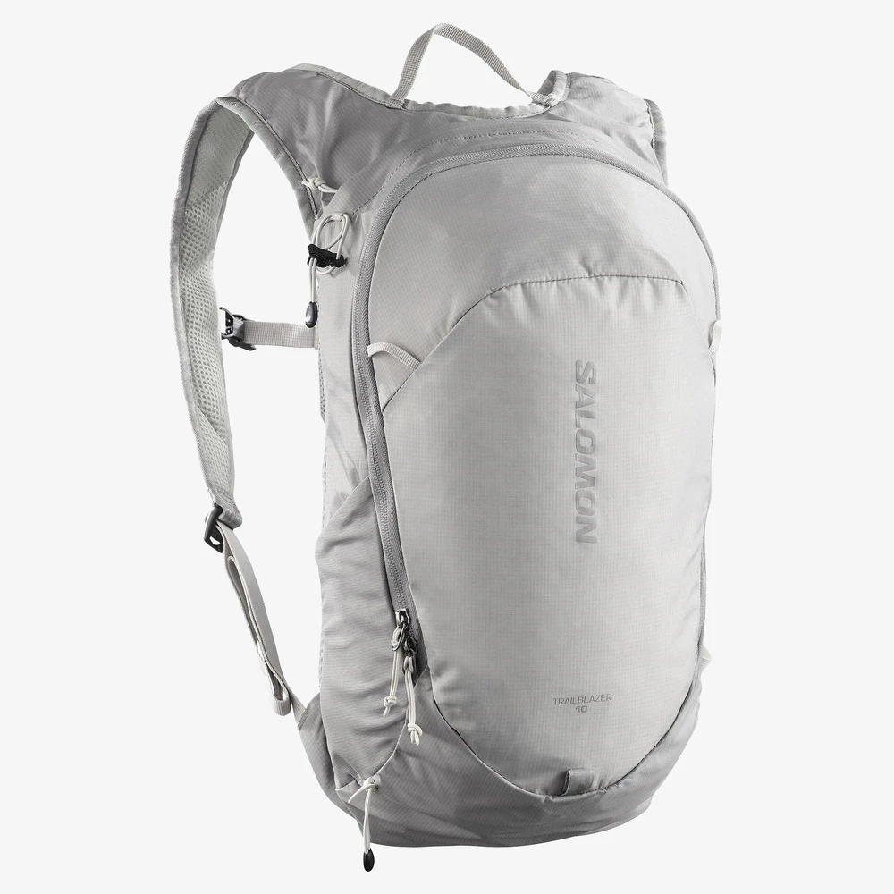 Salomon Trailblazer 10 in Grey