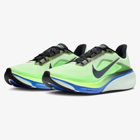 NIKE  Pegasus 42