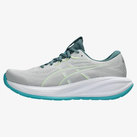 Asics Gel Cumulus 28 in Grey/Blue