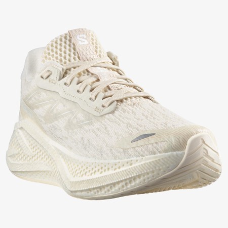 SALOMON  Aero Glide 4