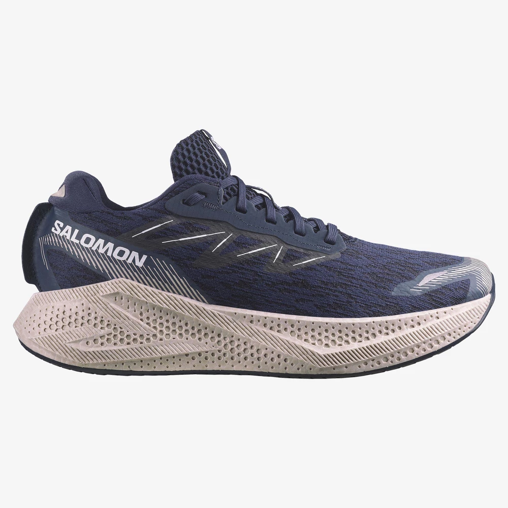 Salomon Aero Glide 4 in Blue/Silver