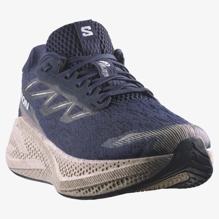 SALOMON  Aero Glide 4