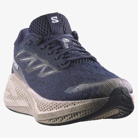Salomon Aero Glide 4 in Blue/Silver