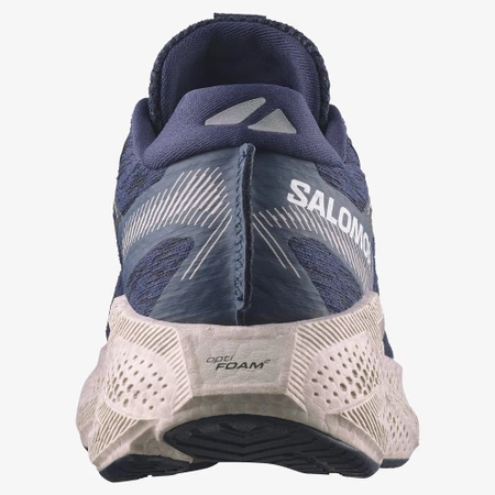 Salomon Aero Glide 4 in Blue/Silver