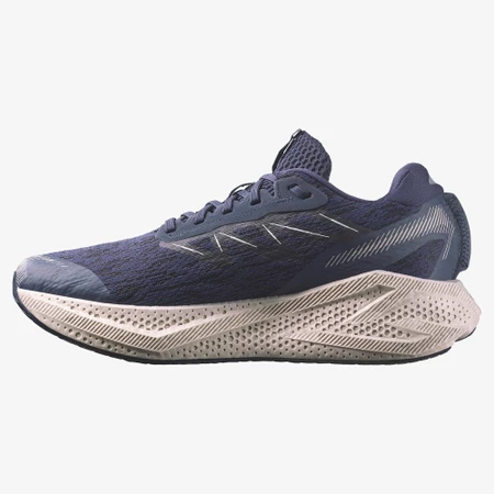 Salomon Aero Glide 4 in Blue/Silver