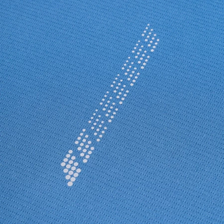 Ronhill Tech Reflect L/S Tee in Glacier