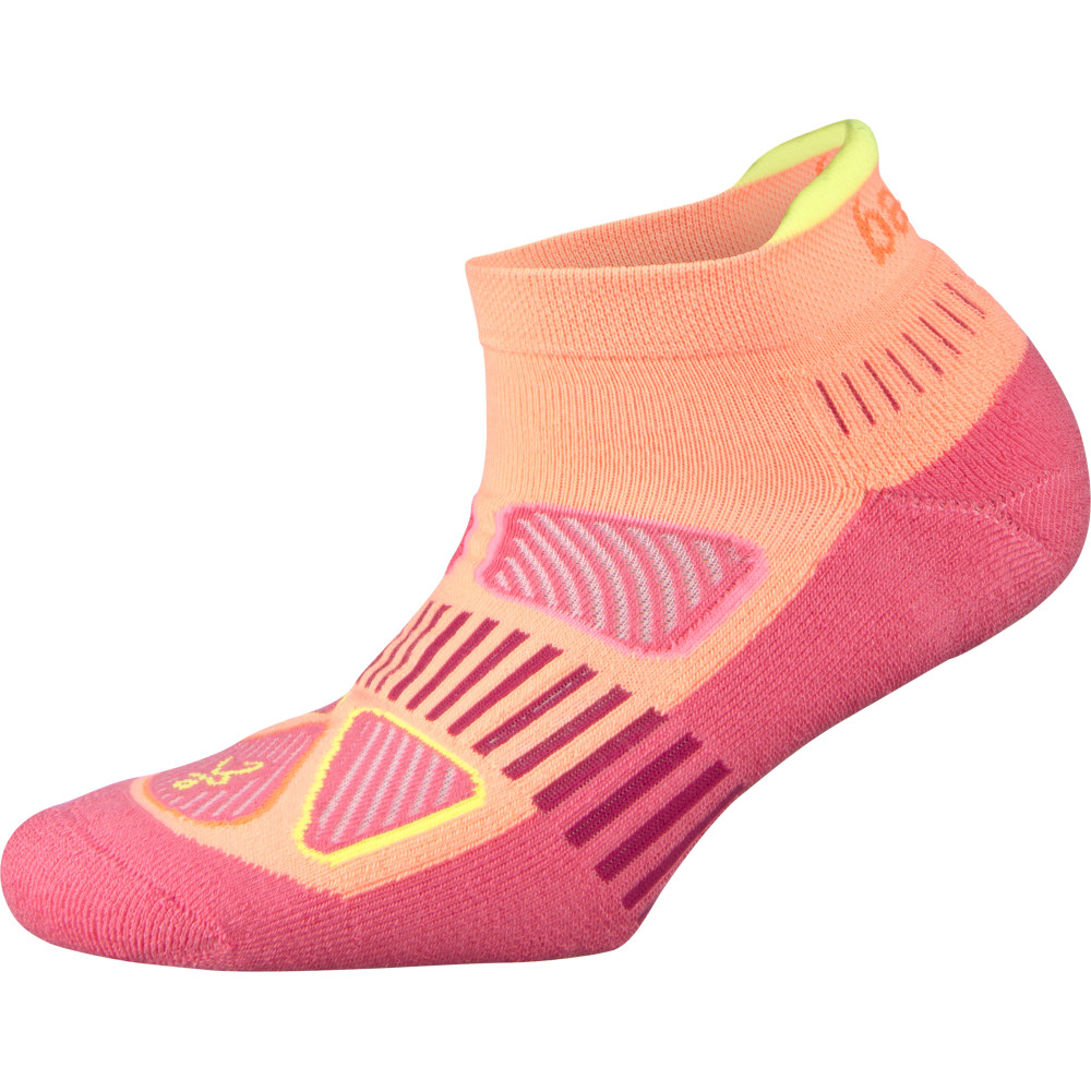 Buy Women's Balega Enduro No Show Socks Run and